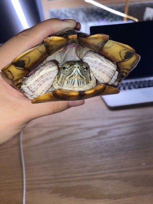 photo_2022-08-13 00.28.58.jpeg