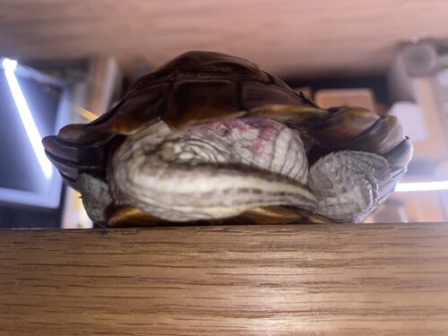 photo_2022-08-13 00.28.45.jpeg