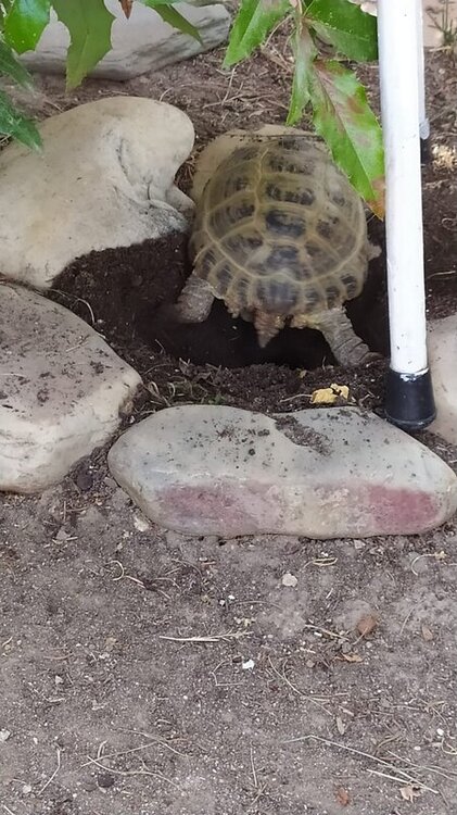 WhatsApp Image 2022-09-10 at 18.15.52.jpeg