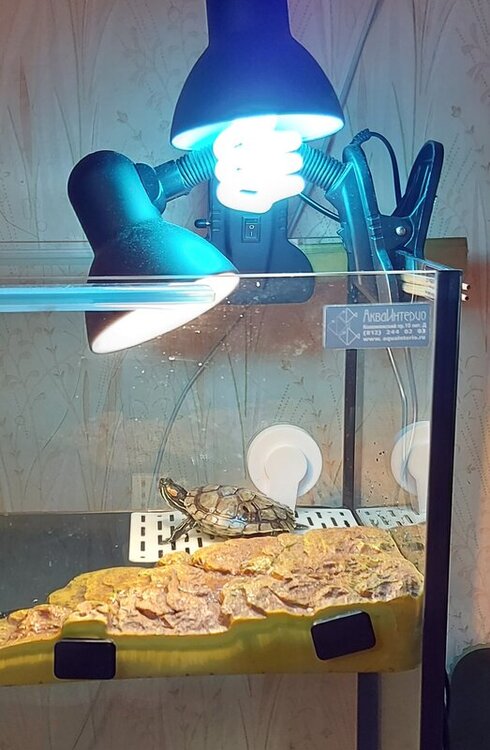 на берегу.jpg