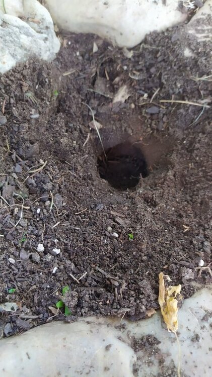 WhatsApp Image 2022-09-10 at 19.07.08.jpeg