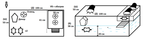 террариум план.png