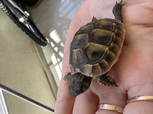 146C4C88-A613-4BFD-BC8F-0B67231FB497 2.jpeg