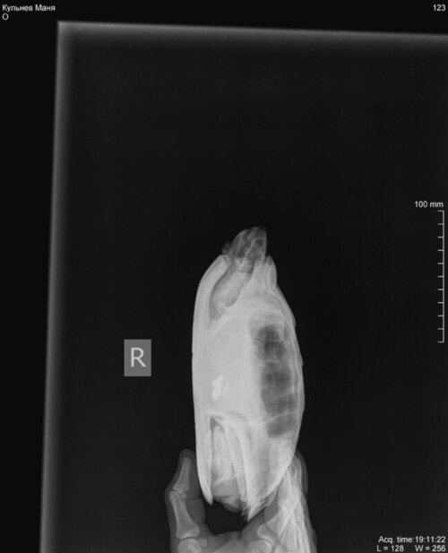 Кульнев Маня_DX_20221025_191122_1.jpg