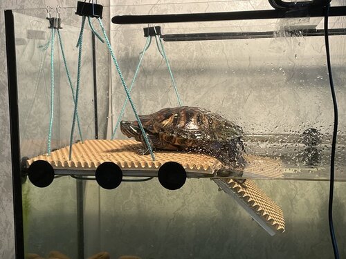 Островок 2.jpg