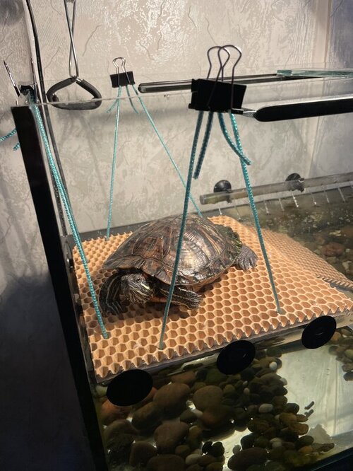 Островок 3.jpg