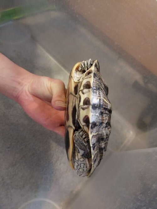 photo_2022-11-16_15-23-50 (2).jpg