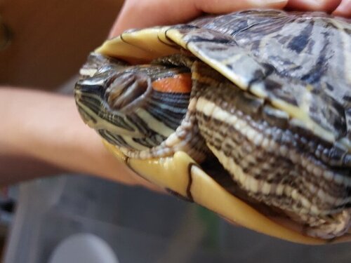 photo_2022-11-16_15-23-50 (5).jpg