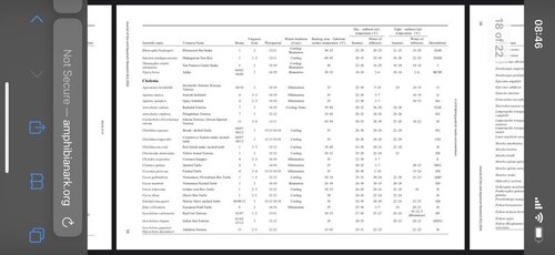 WhatsApp Image 2022-05-30 at 10.06.38.jpeg