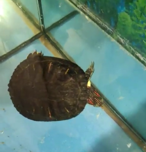 Снимок экрана (254).png