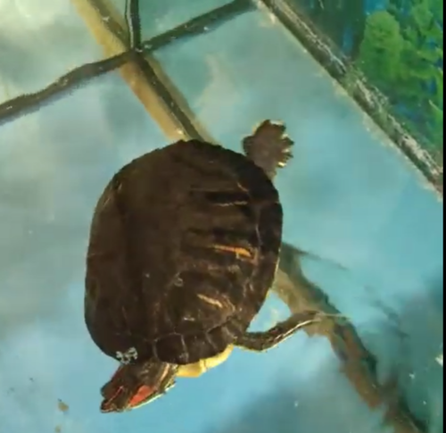 Снимок экрана (256).png