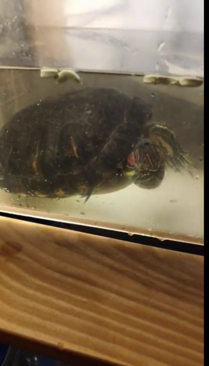 Снимок экрана (250.png