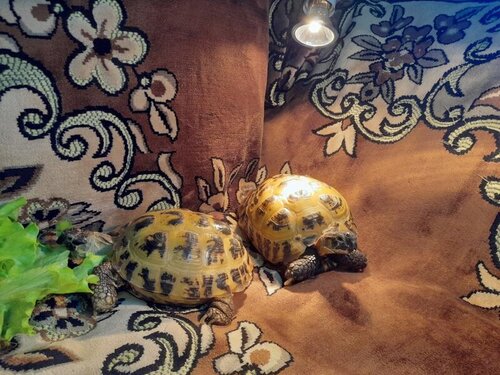 20221127_103401 — копия.jpg