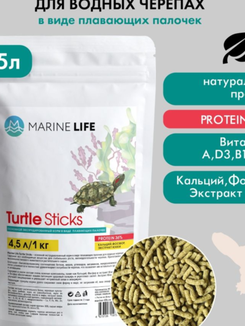 Без названия (1).png