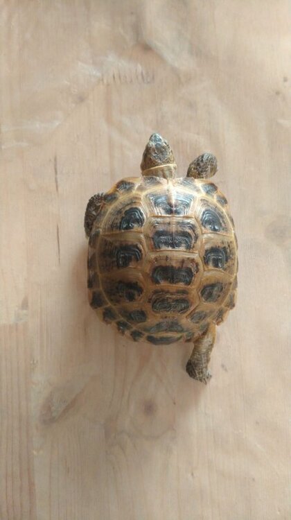 WhatsApp Image 2023-02-01 at 16.38.24 (1).jpeg