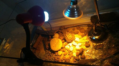 WhatsApp Image 2023-02-01 at 16.34.20.jpeg