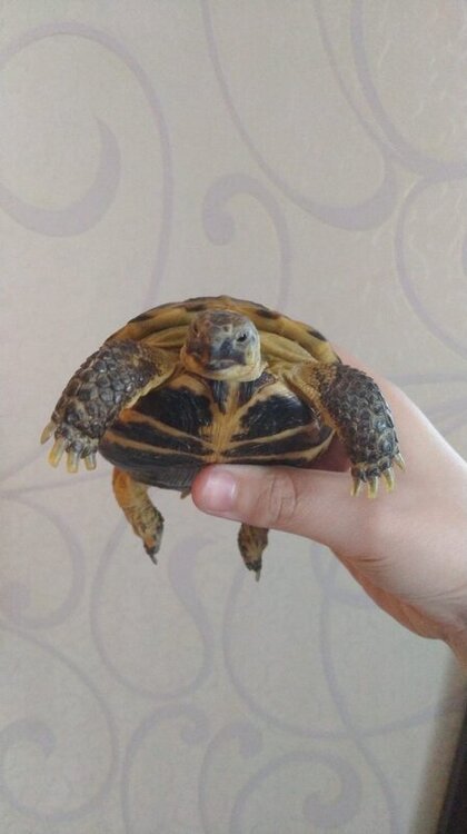 WhatsApp Image 2023-02-01 at 16.38.24.jpeg