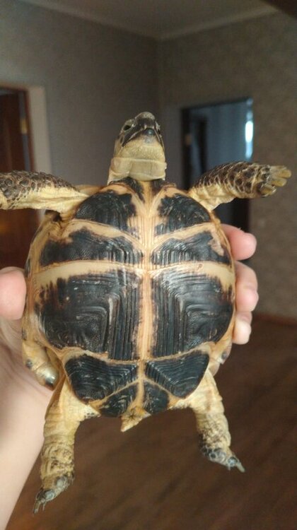 WhatsApp Image 2023-02-01 at 16.38.24 (4).jpeg