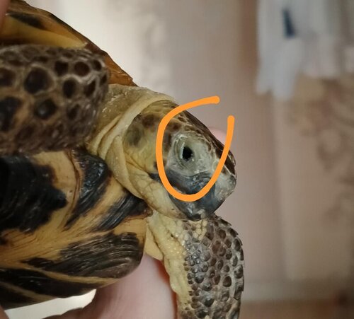 WhatsApp Image 2023-02-01 at 16.51.29.jpeg