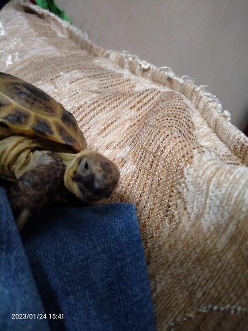 WhatsApp Image 2023-02-01 at 16.53.04.jpeg