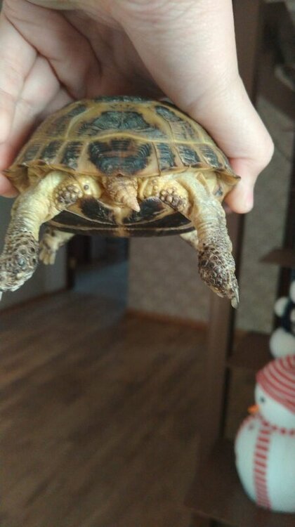 WhatsApp Image 2023-02-01 at 16.38.24 (5).jpeg