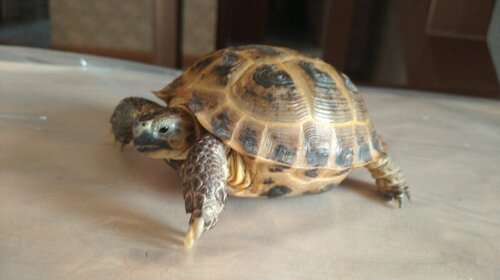 WhatsApp Image 2023-02-01 at 16.38.24 (3).jpeg