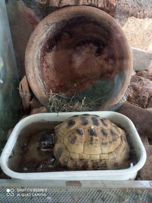 принятие ванны.jpg