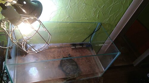 WhatsApp Image 2023-03-04 at 20.58.20.jpeg