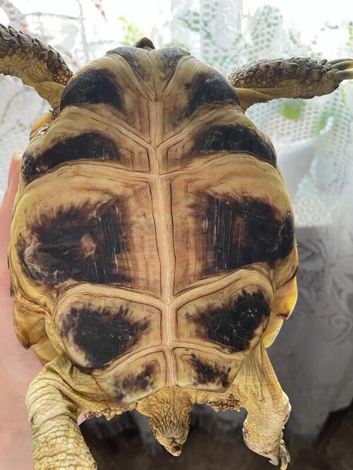 WhatsApp Image 2023-03-23 at 17.26.07 (3).jpeg