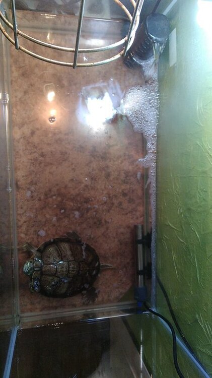 WhatsApp Image 2023-03-04 at 20.58.09.jpeg