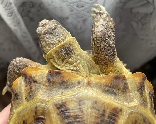 WhatsApp Image 2023-03-23 at 17.26.07 (9).jpeg