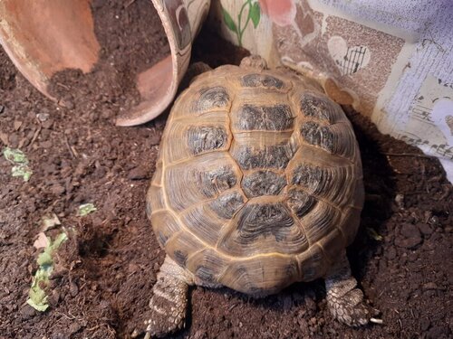 Изображение WhatsApp 2023-03-26 в 13.38.00.jpg