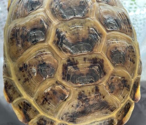 WhatsApp Image 2023-03-23 at 17.26.07 (10).jpeg