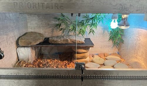 WhatsApp Image 2023-03-23 at 17.26.07 (11).jpeg