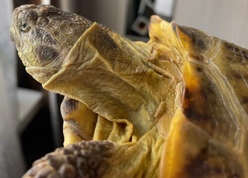 WhatsApp Image 2023-03-23 at 17.26.07 (4).jpeg