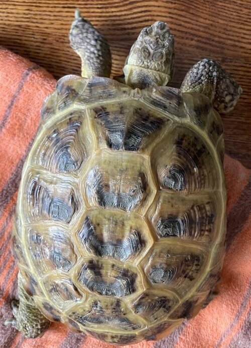 WhatsApp Image 2023-03-23 at 17.26.07.jpeg