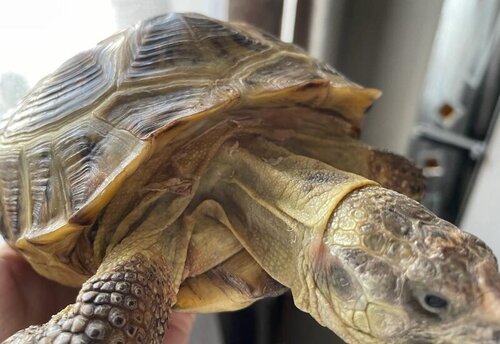 WhatsApp Image 2023-03-23 at 17.26.07 (13).jpeg