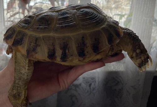 WhatsApp Image 2023-03-23 at 17.26.07 (2).jpeg