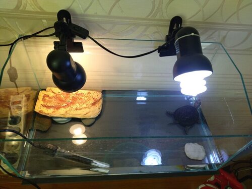 Изображение WhatsApp 2023-03-24 в 13.36.29.jpg