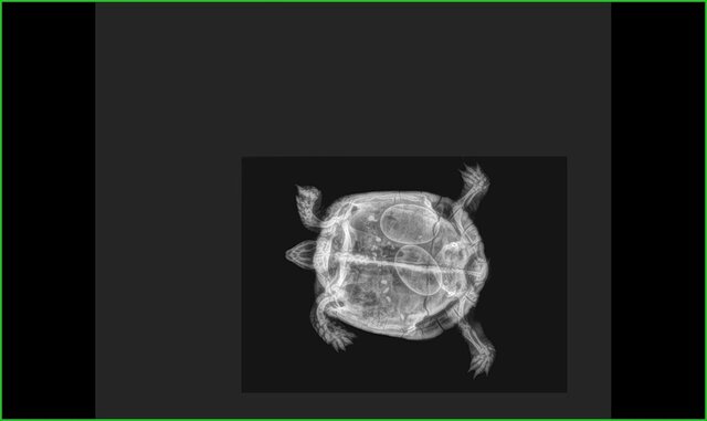 Patient_Urgency_1 (2).jpg