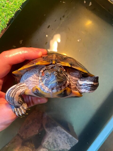 WhatsApp Image 2023-04-28 at 13.26.39.jpeg