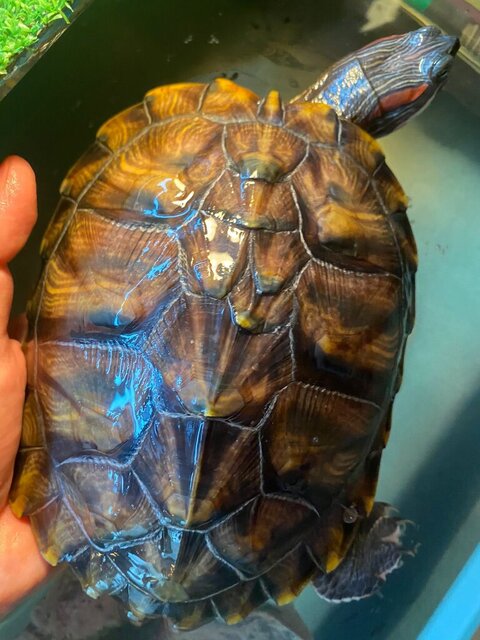 WhatsApp Image 2023-04-28 at 13.26.36.jpeg