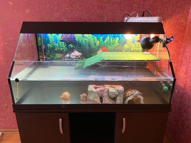 WhatsApp Image 2023-04-28 at 13.26.43.jpeg