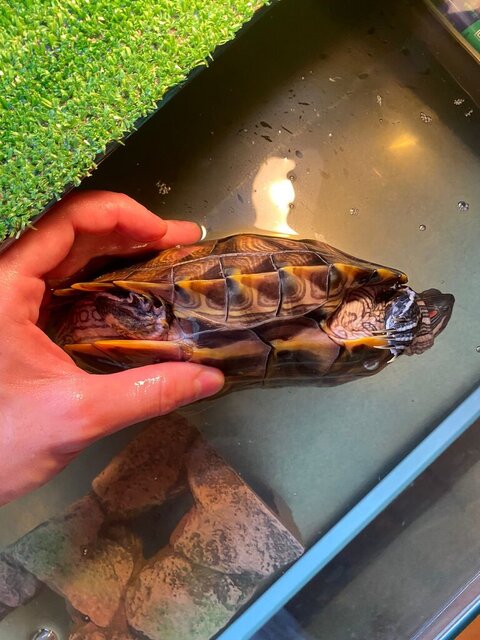 WhatsApp Image 2023-04-28 at 13.26.38.jpeg