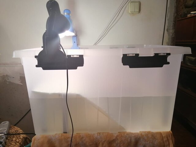 Бокс для Зайки-1.jpeg