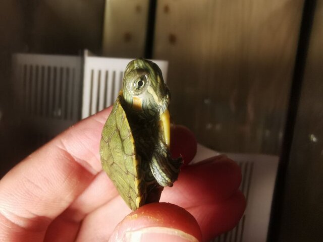 photo_2023-05-18 19.34.32.jpeg