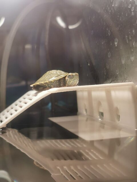 photo_2023-05-18 19.30.25.jpeg