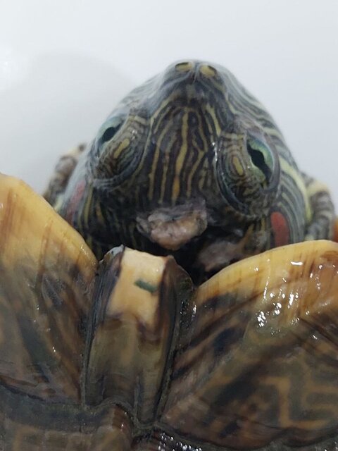 Раны на суше.jpg