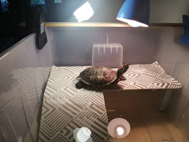 Зайка на мостике - в боксе 2.jpeg