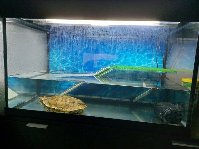 Аквариум.jpg